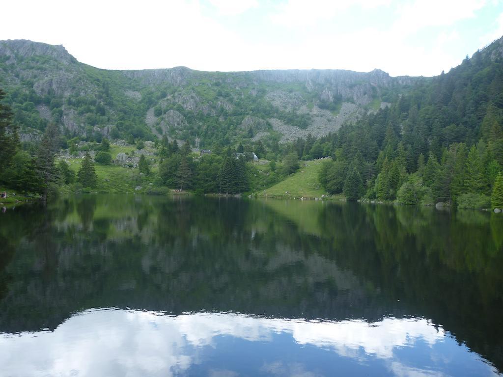 Les Myrtilles