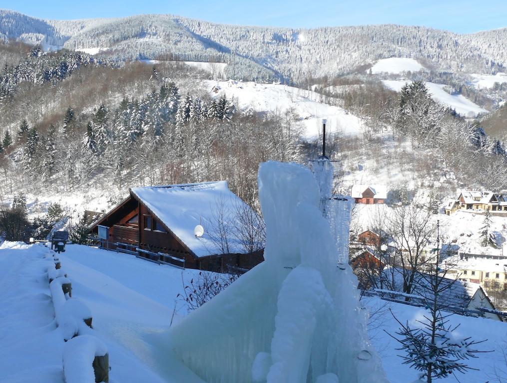 Les Myrtilles Holiday home Le Bonhomme
